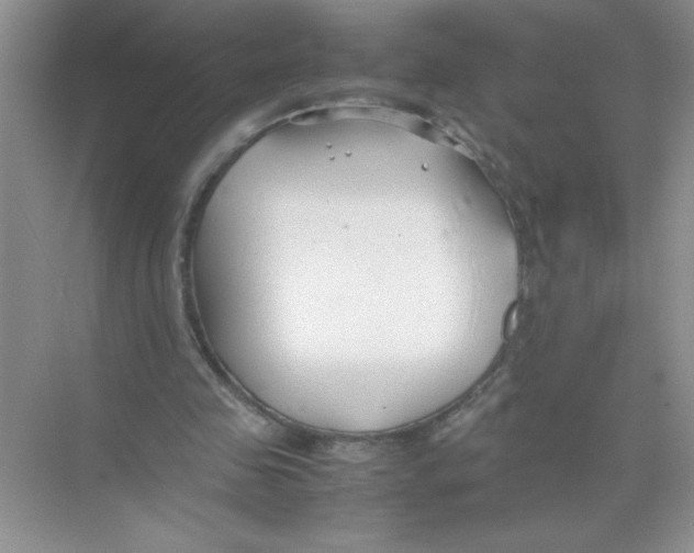 X0000074330341200609230058