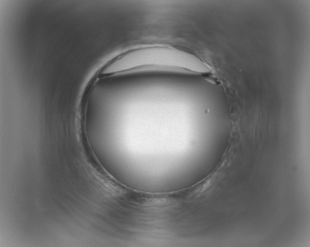 X0000074330342200609230058