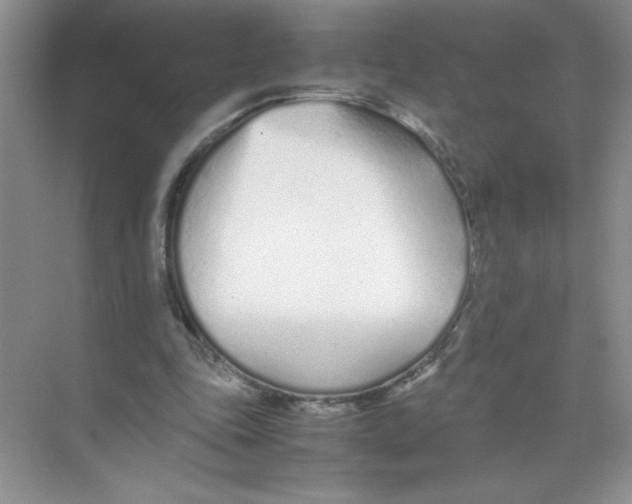 X0000074330343200609230058