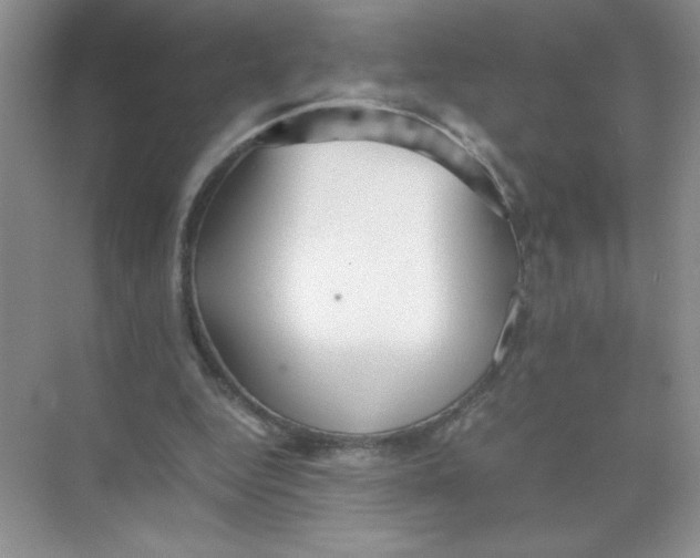 X0000074330344200609230058