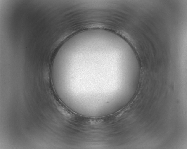 X0000074330345200609230058