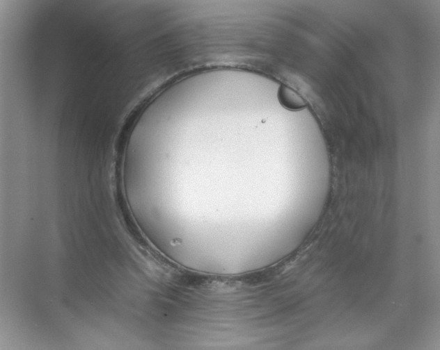 X0000074330346200609230058