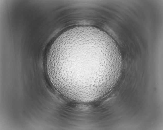 X0000074330347200609230058