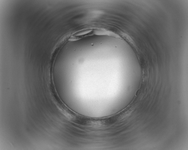 X0000074330349200609230058