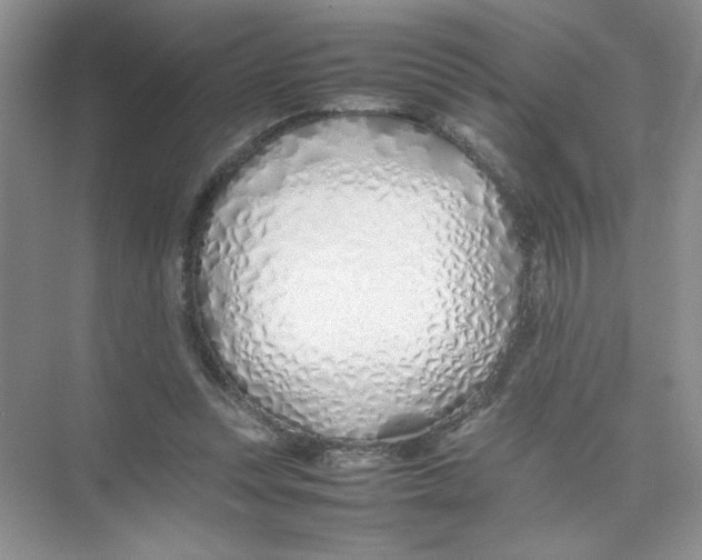 X0000074330351200609230058