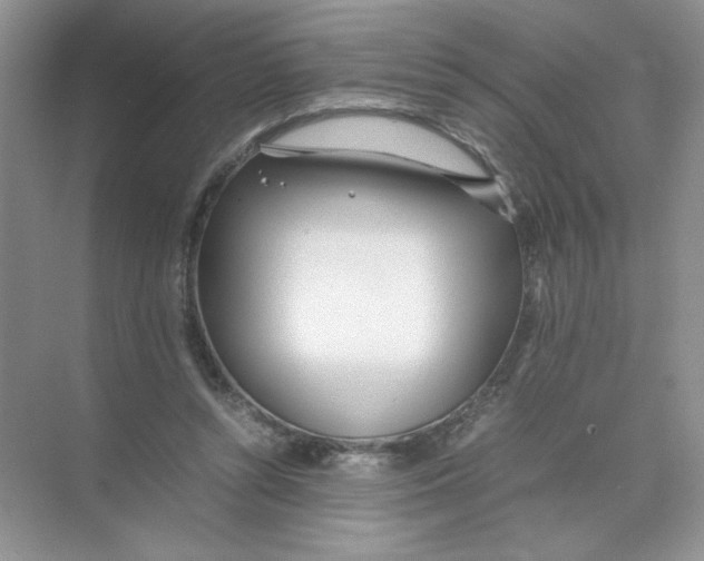 X0000074330352200609230058