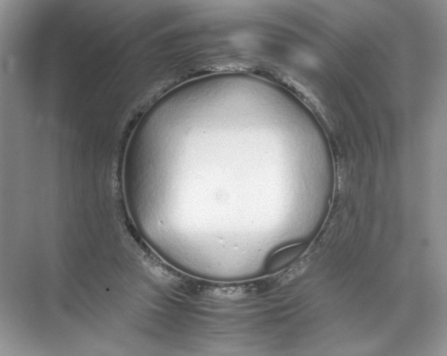 X0000074330353200609230058