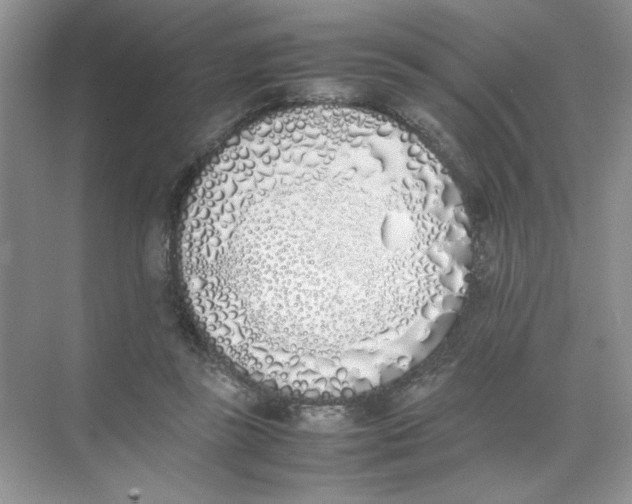 X0000074330355200609230058