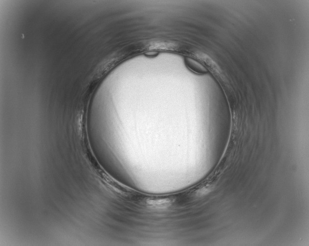 X0000074330357200609230058