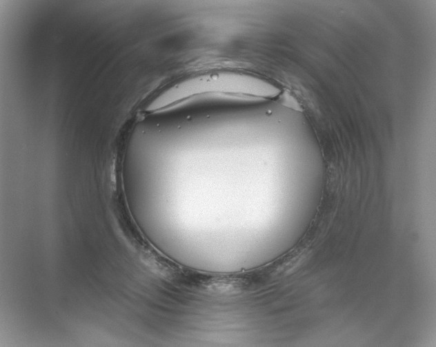 X0000074330358200609230058