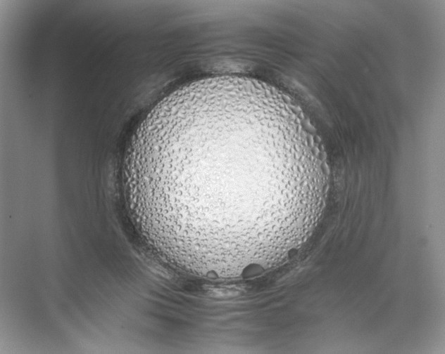 X0000074330359200609230058