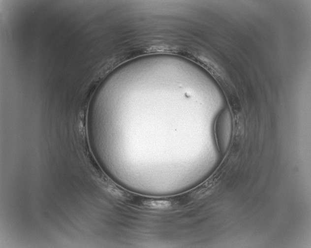 X0000074330361200609230058