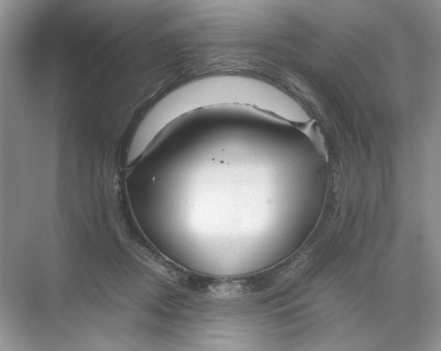 X0000074330362200609230058