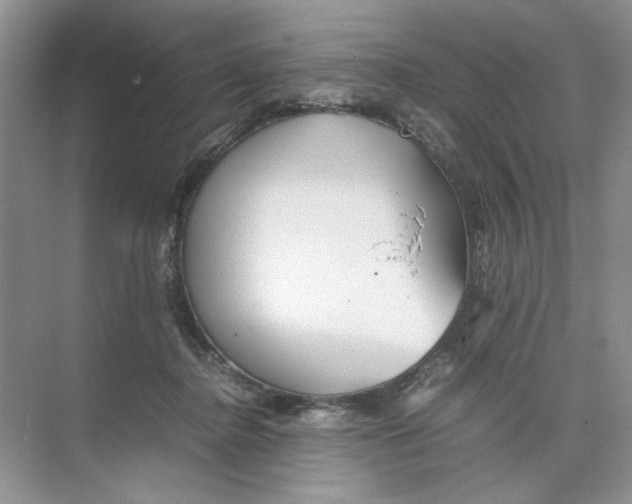 X0000074330364200609230058