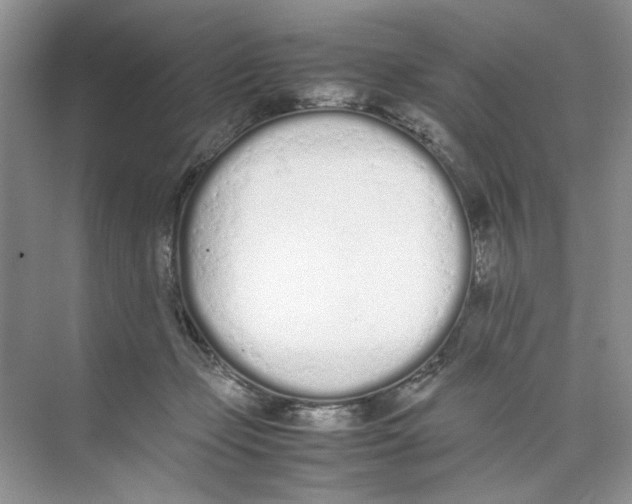 X0000074330365200609230058