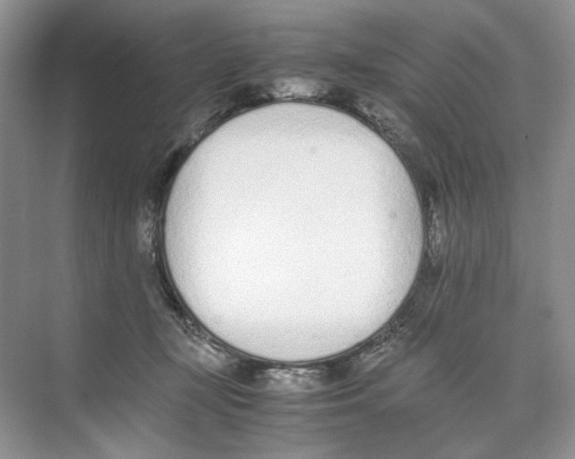 X0000074330367200609230058