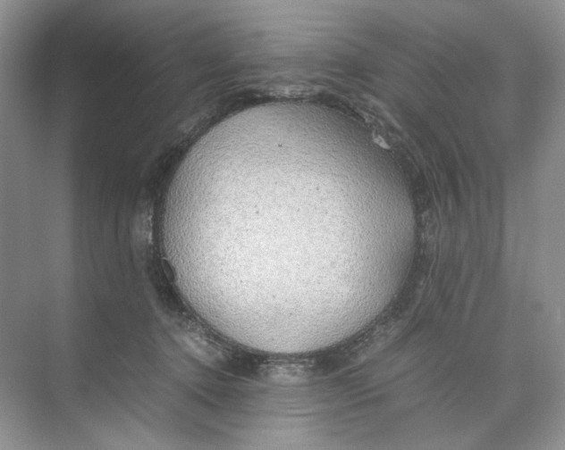 X0000074330368200609230058