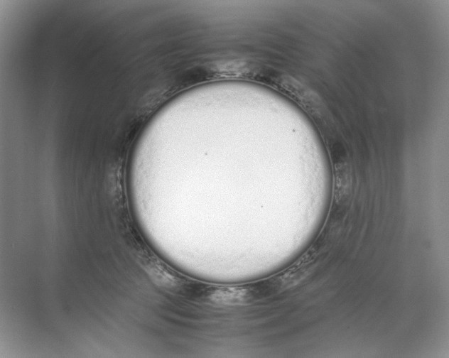 X0000074330369200609230058