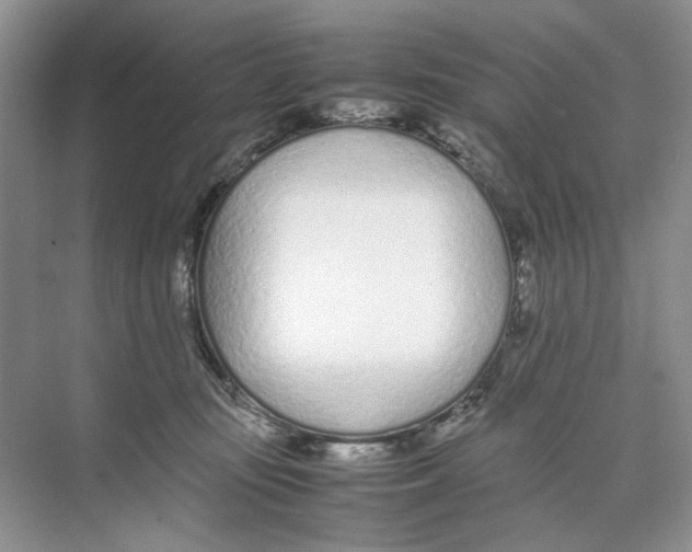 X0000074330371200609230058