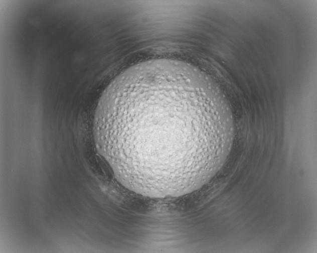 X0000074330372200609230058