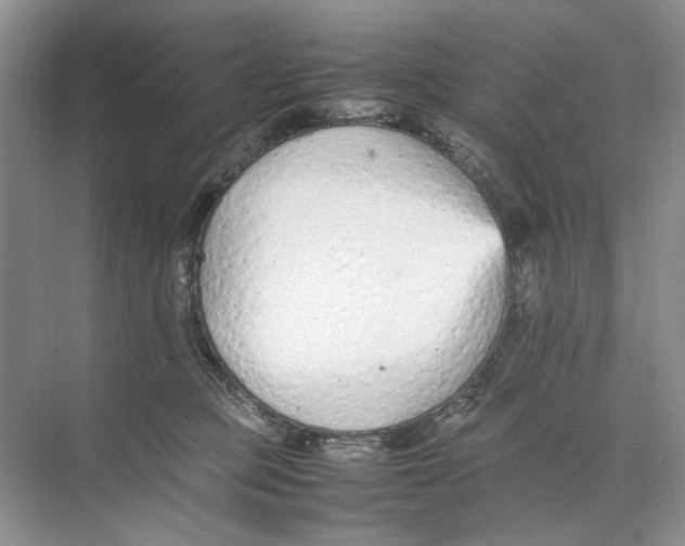 X0000074330373200609230058