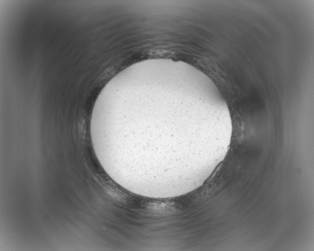 X0000074330375200609230058