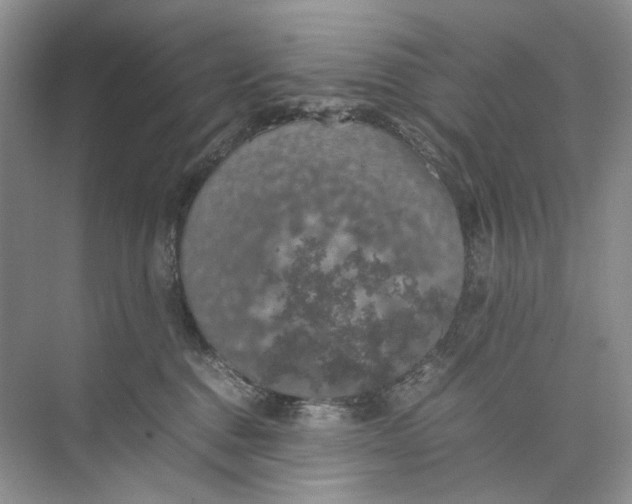 X0000074330376200609230058