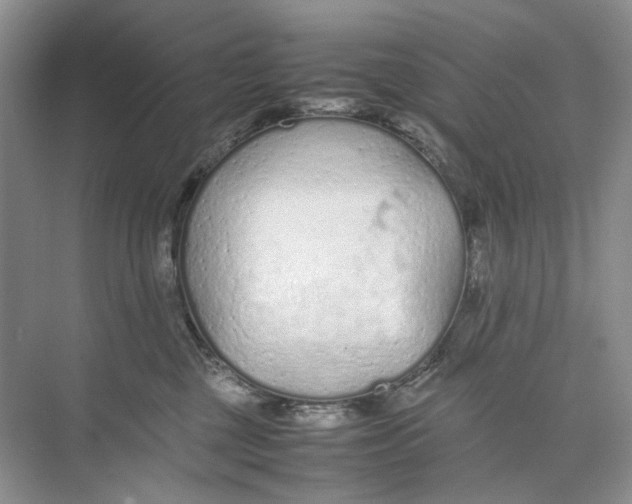 X0000074330377200609230058