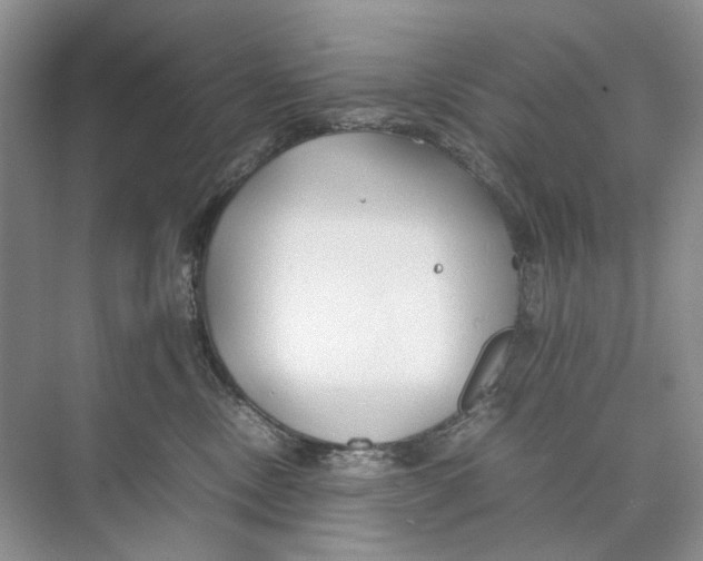 X0000074330378200609230058