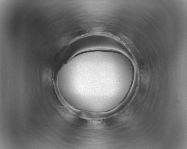 X0000074330380200609230058