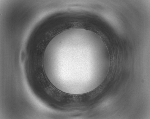 X0000074330383200609230059