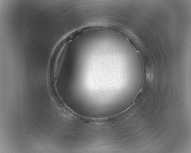 X0000074330388200609230058