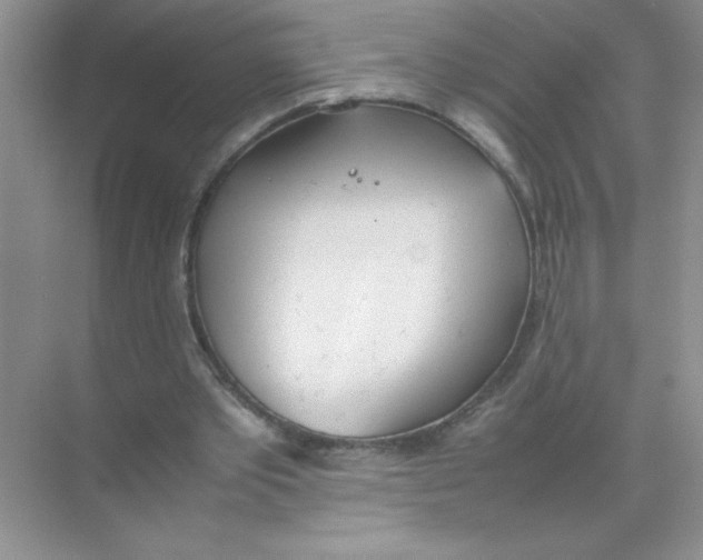 X0000074330389200609230058