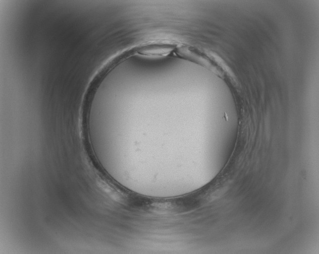 X0000074330391200609230058