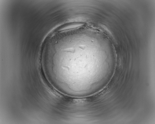 X0000074330392200609230058