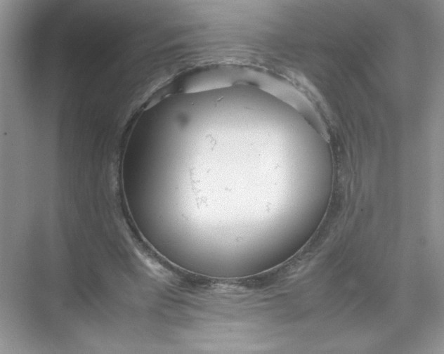 X0000074330393200609230058