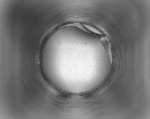 X0000074330399200609230057