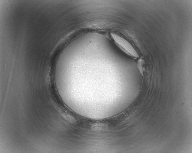 X0000074330400200609230057