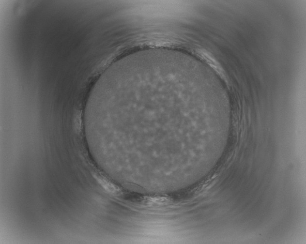 X0000074330401200609230057