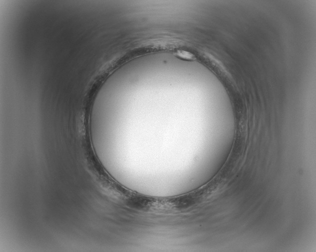 X0000074330403200609230057