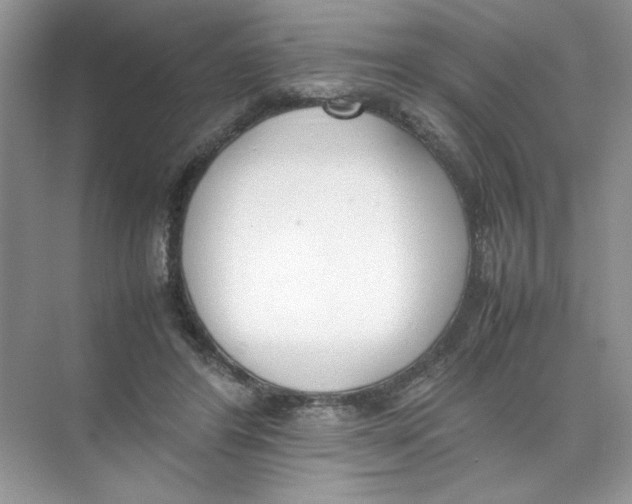 X0000074330404200609230057