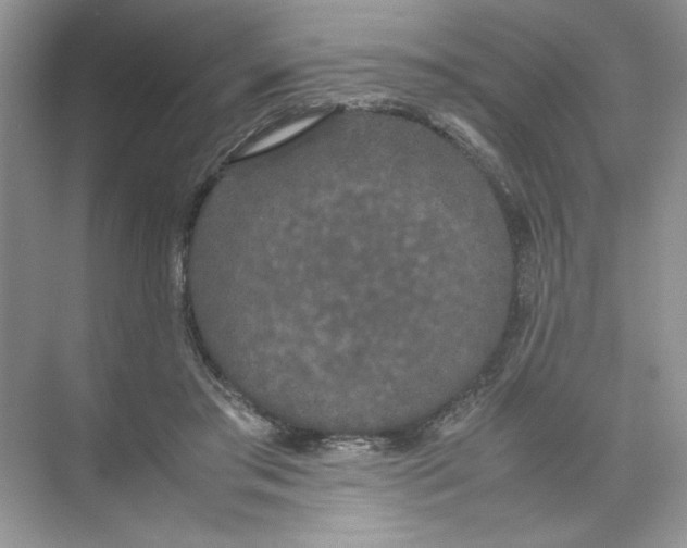 X0000074330405200609230057