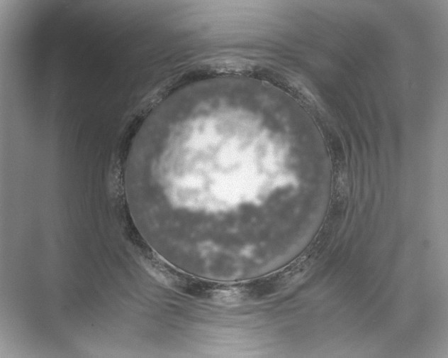 X0000074330411200609230057