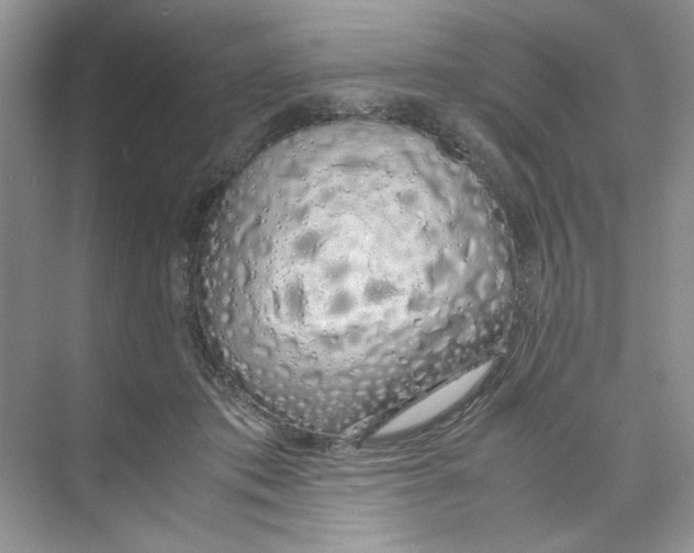 X0000074330413200609230057