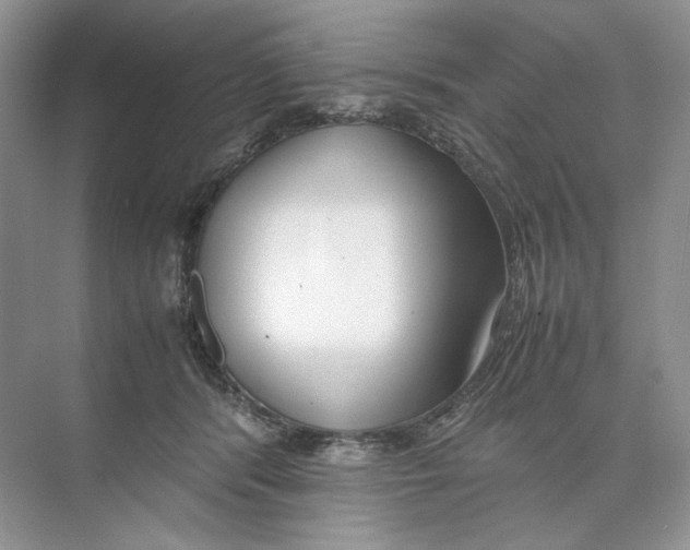 X0000074330416200609230057