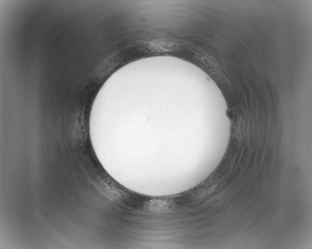 X0000074330418200609230057