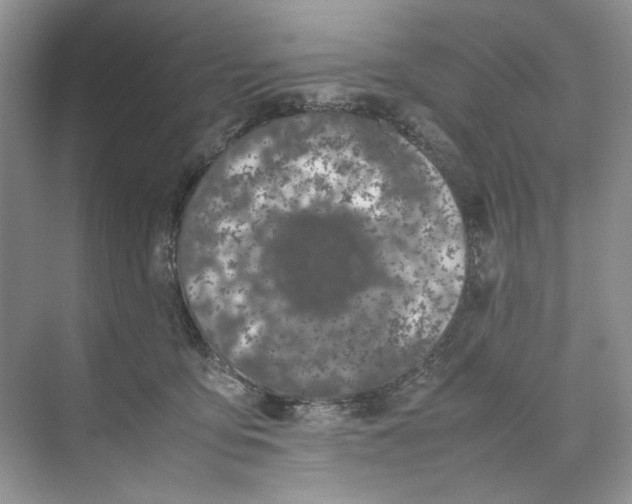 X0000074330419200609230057