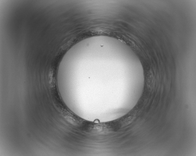 X0000074330420200609230057