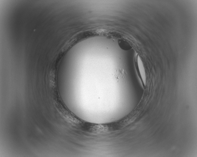 X0000074330421200609230057