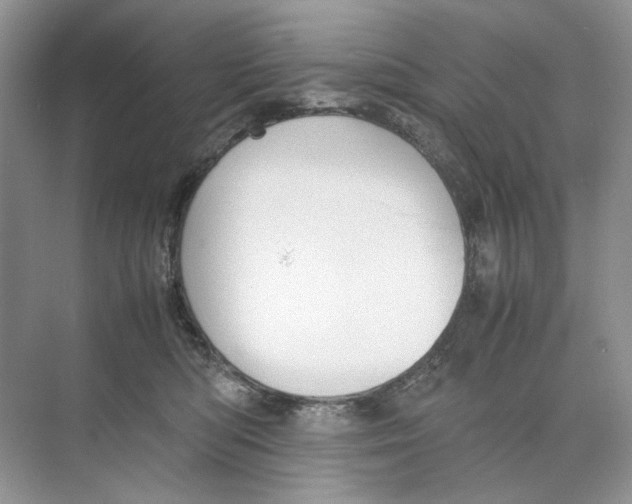 X0000074330422200609230057